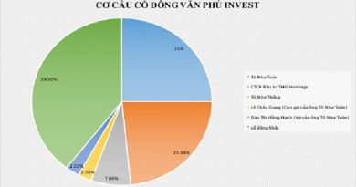 co-cau-co-dong-van-phu-invest